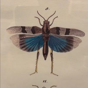 Meet your Posher, Martin